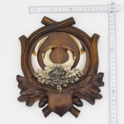 1 Stück Wildschwein Keilerwaffen mit Eichenlaub Verzierung Trophäe Keiler Gewaff Hauer Länge 17,2 cm auf geschnitztem Trophäenschild