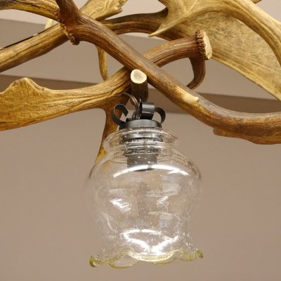 Geweihlampe Deckenlampe Lampe Leuchte 3 flammig Gl&auml;ser mit Damhirsch Stangen L&auml;nge 95 cm