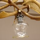 Geweihlampe Deckenlampe Lampe Leuchte 3 flammig Gläser mit Damhirsch Stangen Länge 95 cm
