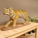 Junger Tiger Präparat auf Deko Podest Tierpräparat Jungtier Breite 40 cm mit Genehmigung zum Verkauf