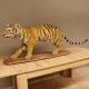Junger Tiger Präparat auf Deko Podest Tierpräparat Jungtier Breite 40 cm mit Genehmigung zum Verkauf