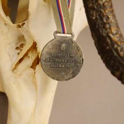 14 Ender Rothirsch Hirsch Geweih mit Deko Medaille Hirschgeweih H&ouml;he 108 cm