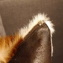 1 Stück Springbock Fellkissen 44 x 44 cm Fell Afrika Antilope Tierfell Sofa Kissen incl. Füllkissen