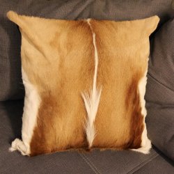 1 Stück Springbock Fellkissen 44 x 44 cm Fell Afrika Antilope Tierfell Sofa Kissen incl. Füllkissen