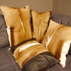 1 Stück Springbock Fellkissen 44 x 44 cm Fell Afrika Antilope Tierfell Sofa Kissen incl. Füllkissen