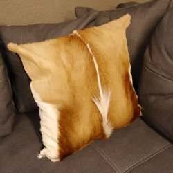 1 Stück Springbock Fellkissen 44 x 44 cm Fell Afrika Antilope Tierfell Sofa Kissen incl. Füllkissen