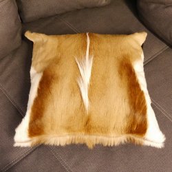1 Stück Springbock Fellkissen 44 x 44 cm Fell Afrika Antilope Tierfell Sofa Kissen incl. Füllkissen