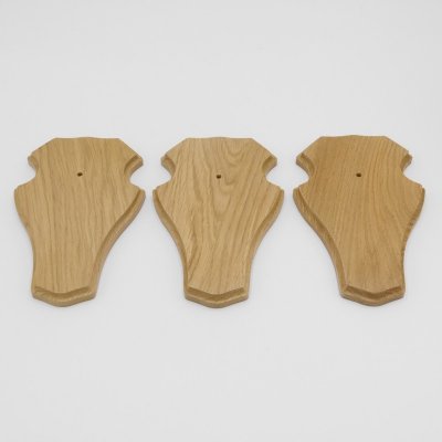3 St&uuml;ck Reh Troph&auml;enschilder Stumpf gro&szlig; Eiche hell mit 1 Kieferfach AF 21 x 13 cm