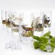 Longdrink Gläser 6 tlg.Set 400ml Höhe 13 cm Glas mit farbigen Jagd Dekor Motiv im Geschenk Karton