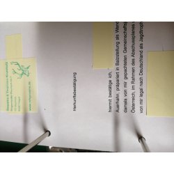 Auerhahn Ganzpräparat auf Ast Präparat Höhe 62 cm mit Herkunftsnachweis