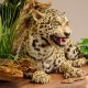 Jaguar Präparat liegend auf Deko Podest Ganzpräparat mit Genehmigung zum Verkauf