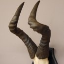 Hartebeest Kuhantilope Schädeltrophäe HL 55 cm Afrika Antilope Schädel Trophäe Deko auf Trophäenschild