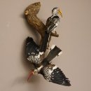 1 Toko Paar auf Ast Rotschnabeltoko und südlicher Gelbschnabeltoko Vogel Präparat Tierpräparat