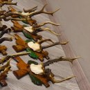 ABNORMITÄTEN 13 Stück abnormale Rehgeweihe...