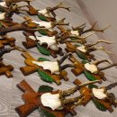 ABNORMITÄTEN 13 Stück abnormale Rehgeweihe ABNORM Rehbock Reh Bock Geweihe auf geschnitzte Trophäenschilder #22.977