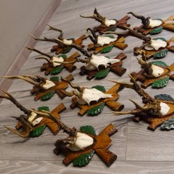 ABNORMITÄTEN 13 Stück abnormale Rehgeweihe ABNORM Rehbock Reh Bock Geweihe auf geschnitzte Trophäenschilder #22.977