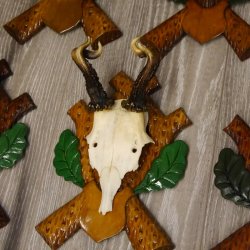 ABNORMITÄTEN 13 Stück abnormale Rehgeweihe ABNORM Rehbock Reh Bock Geweihe auf geschnitzte Trophäenschilder #22.977