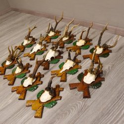 ABNORMITÄTEN 13 Stück abnormale Rehgeweihe ABNORM Rehbock Reh Bock Geweihe auf geschnitzte Trophäenschilder #22.977