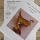 Rothuhn Ganzpr&auml;parat Huhn Hahn Breite 24 cm Vogel Pr&auml;parat mit Herkunftsnachweis