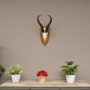 Springbock Antilope Troph&auml;e Sch&auml;deltroph&auml;e HL 36 cm auf Troph&auml;enschild Deko #88.6.91