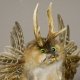 Wolpertinger Wolpi Bisam Präparat mit Wanderstock & hellgrünen Augen taxidermy Fabelwesen Höhe 36 cm #86.4.76