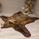 Braunbär Grizzly Fell Bär Vorleger mit Kopfpräparation Länge 214 cm mit Genehmigung zum Verkauf