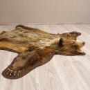 Braunbär Grizzly Fell Bär Vorleger mit Kopfpräparation Länge 214 cm mit Genehmigung zum Verkauf