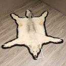 Kanadischer Wolf Fell Vorleger mit Kopfpräparation Länge 203 cm mit EU Genehmigung