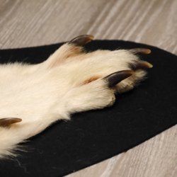 Kanadischer Wolf Fell Vorleger mit Kopfpräparation Länge 203 cm mit EU Genehmigung