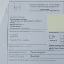 Auerhahn Ganzpräparat auf Ast präpariert Höhe 61 cm mit Genehmigung zum Verkauf