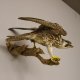 Wanderfalke Präparat jung Falke präpariert Tierpräparat taxidermy mit Genehmigung zum Verkauf