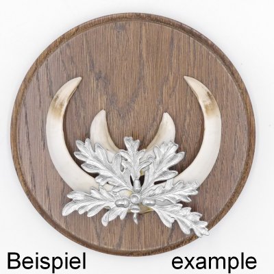 Keilerschild Rund Eiche 13 Cm - Mit 2 Alu Deckblättern Für Jagdtrophäen