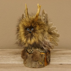 kleines Wolpertinger Wolpi Präparat taxidermy mit hellblaue Augen, kleine Flügel und Reh Geweih Horn #86.2.83
