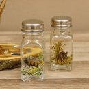 Salz + Pfeffer Streuer Menagen Set mit farbigen Jagdmotiv auf Akazienschild mit Rehbock Stange als Griff #27.40.1.1