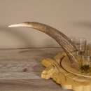 Schnaps Anbieter geschnitztes Schnapsbrett H14 cm Rothirsch Stange Geweih Griff mit 6 Stück " kurze " Gläser Jagdmotiv Tier Motiv #27.7.1.3