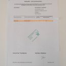 Steppenadler Präparat mit offenen Schwingen auf Ast Greifvogel Vogel präpariert Trophäe mit Genehmigung zum Verkauf