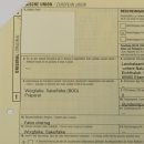 Würgfalke Sakerfalke Präparat Falke präpariert Tierpräparat taxidermy mit EU Genehmigung zum Verkauf