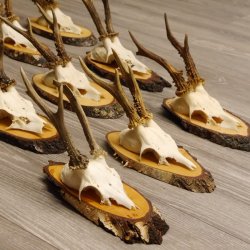 17 deer antlers on birch tree sign board for wall decoration