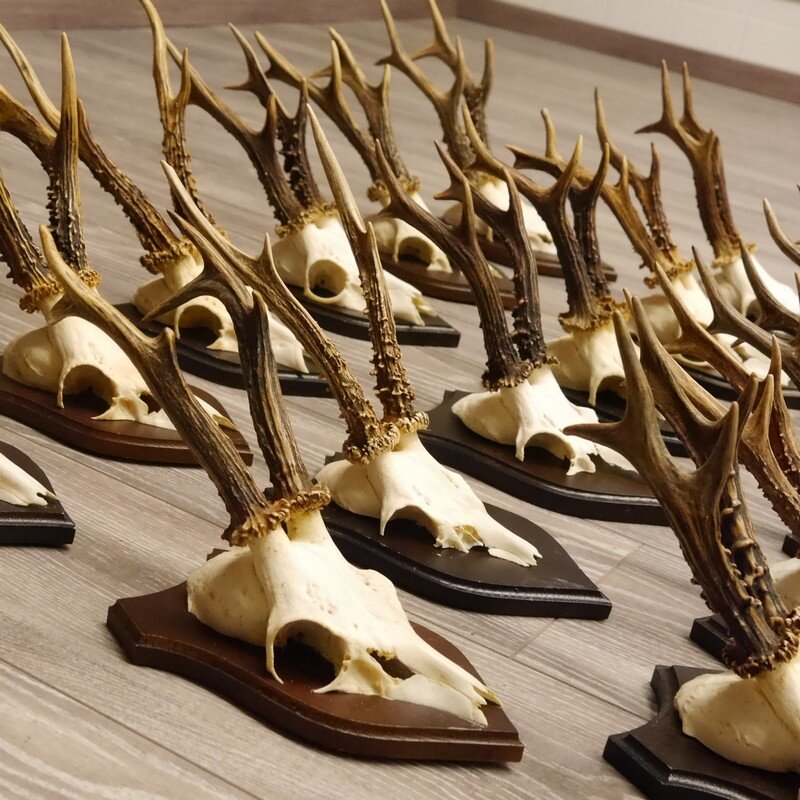 Trophée Cerf En Carton à Assembler - Motif Doré Pailleté - Dimensions 32x69 Cm - Montage Puzzle 3D Sans Colle - 6