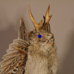 Wolpertinger Murmel Präparat mit blaue Augen Fabelwesen mit Flügel und Geweih Wolpi Höhe 34 cm #86.3.74