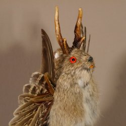 Wolpertinger Murmel Präparat mit rote Augen Fabelwesen mit Flügel und Geweih Wolpi Höhe 35 cm #86.3.77