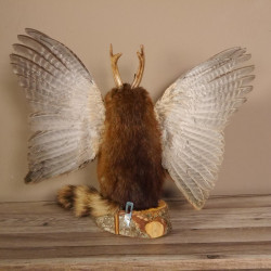 Wolpertinger Wolpi Bisam Präparat mit große Flügel, Pfeife und Stock, mit grünen Augen Fabelwesen Gaudi Geschenk #86.7.29