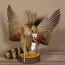 Wolpertinger Wolpi Bisam Präparat mit große Flügel, Pfeife und Stock, mit grünen Augen Fabelwesen Gaudi Geschenk #86.7.31