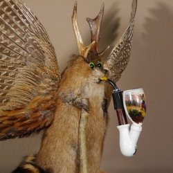 Wolpertinger Wolpi Bisam Präparat mit große Flügel, Pfeife und Stock, mit grünen Augen Fabelwesen Gaudi Geschenk #86.7.31
