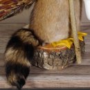 Wolpertinger Wolpi Präparat taxidermy mit große Flügel, Pfeife und Stock, mit blaue Augen Höhe 41 cm Fabelwesen Gaudi Geschenk #86.7.30