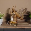 Wolpertinger Wolpi Präparat taxidermy mit große Flügel, Pfeife und Stock, mit blaue Augen Höhe 41 cm Fabelwesen Gaudi Geschenk #86.7.30