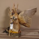 Wolpertinger Wolpi Präparat taxidermy mit große Flügel, Pfeife und Stock, mit blaue Augen Höhe 41 cm Fabelwesen Gaudi Geschenk #86.7.30