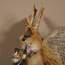 Wolpertinger Wolpi Präparat taxidermy mit große Flügel, Pfeife und Stock, mit blaue Augen Höhe 41 cm Fabelwesen Gaudi Geschenk #86.7.30