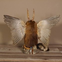 Wolpertinger Wolpi Präparat taxidermy mit große Flügel, Pfeife und Stock, mit blaue Augen Höhe 41 cm Fabelwesen Gaudi Geschenk #86.7.30
