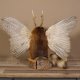 Wolpertinger Wolpi Präparat taxidermy mit große Flügel, Pfeife und Stock, mit hellblaue Augen Höhe 40 cm Fabelwesen Gaudi Geschenk #86.7.32